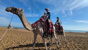 骑骆驼-在赫尔格达体验一小时的沙漠骆驼之旅-