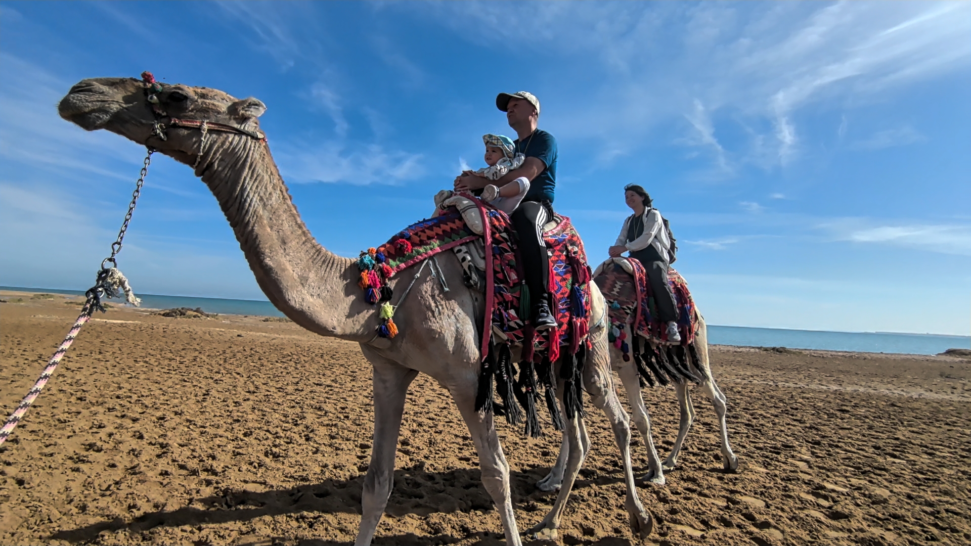 Eine einstündige Kameltour in der Wüste bei Hurghada