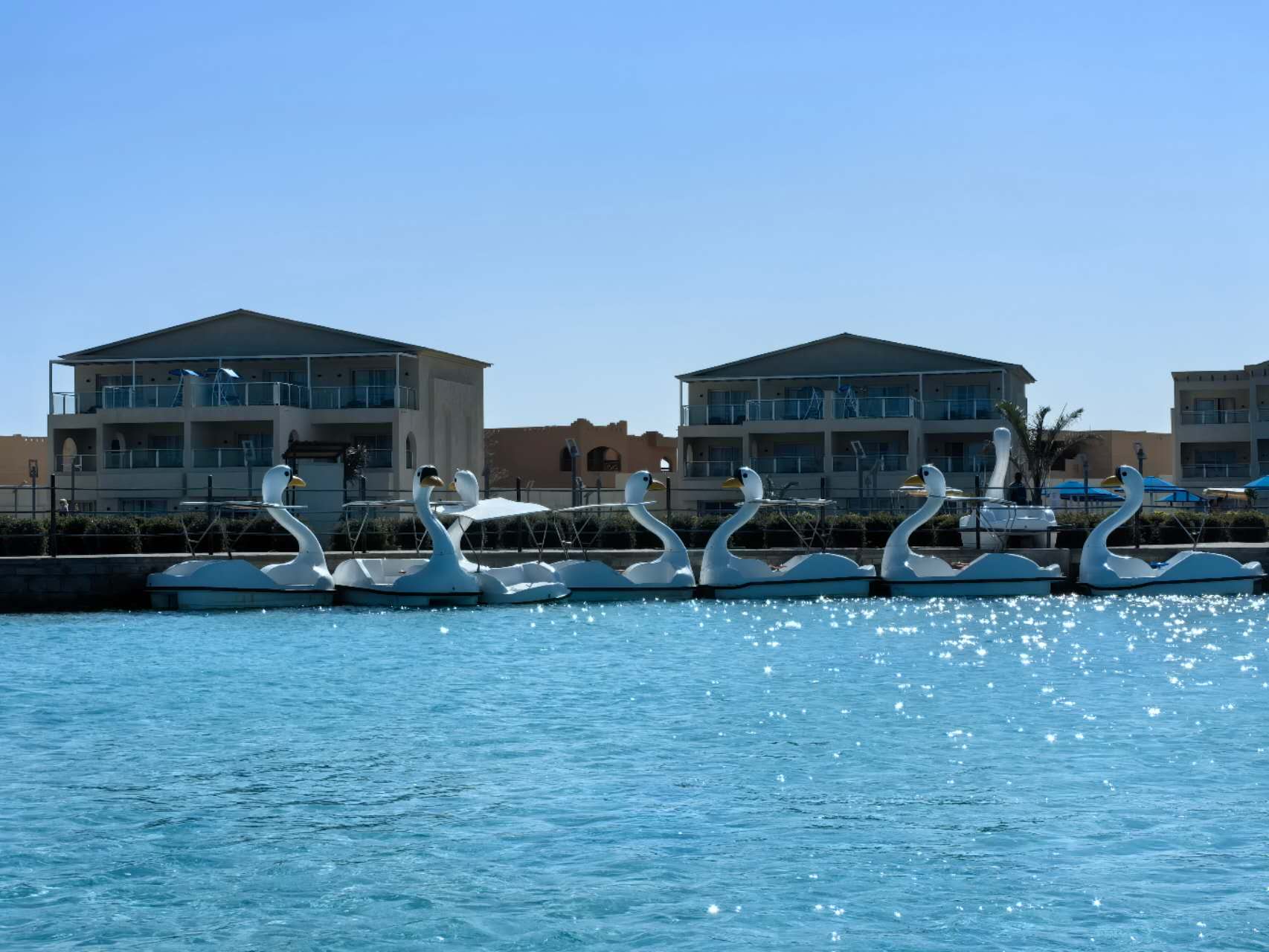 Schwanenboot im Albatros Makadi Hotel