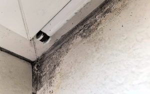 一个妈妈的真实经历：我们如何找到宝宝冬季鼻塞的真正原因