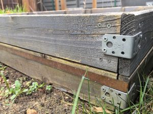 Article 20260321 Nacktschnecke